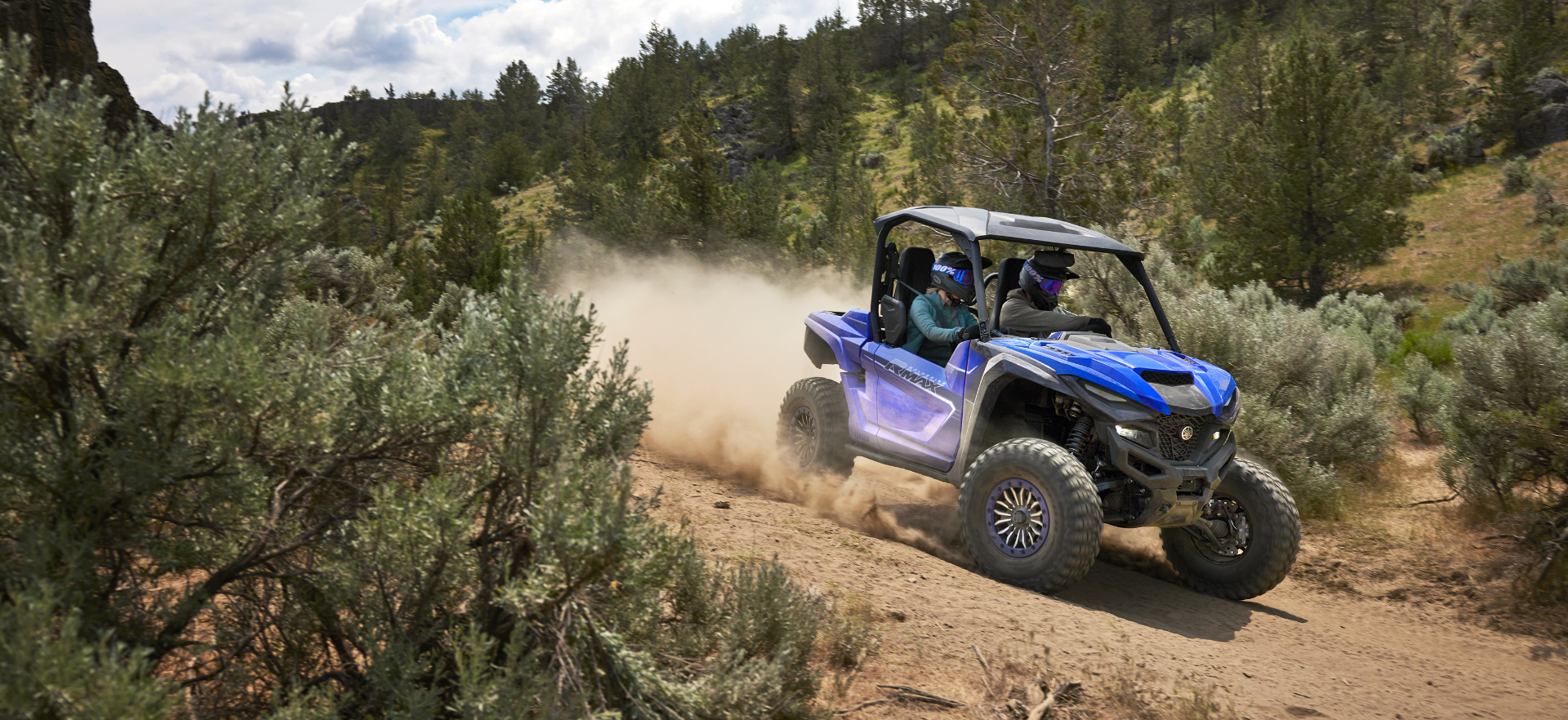 SAVE BIG ON E-Bikes (2).png